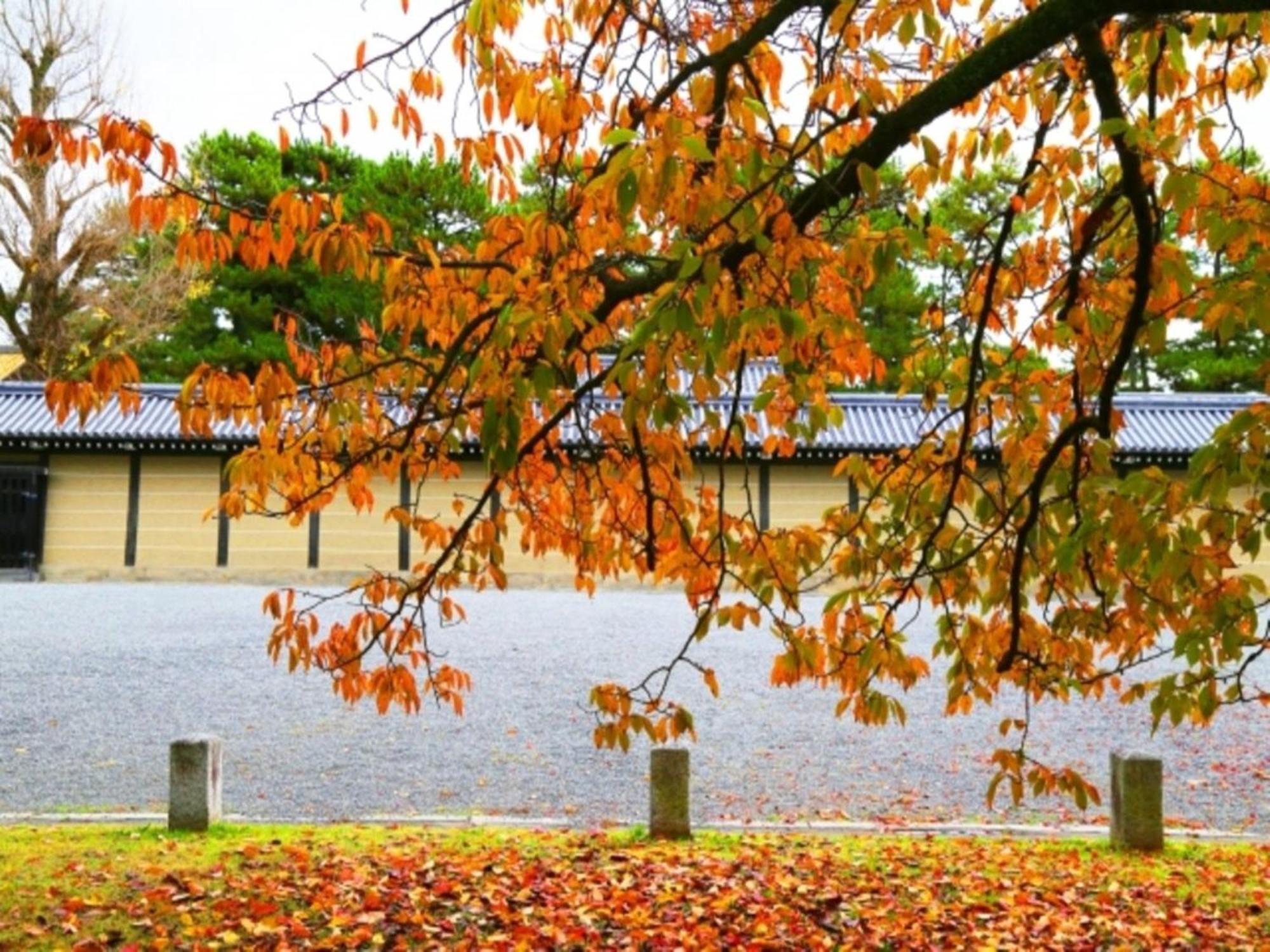 La'Gent Hotel Kyoto Nijo Exterior foto